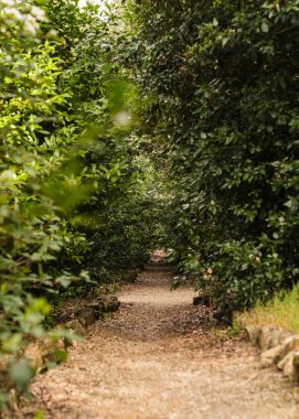 İtalya, Floransa 'daki güzel eski bir bahçenin ayrıntıları