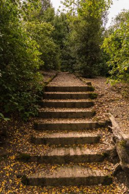 İtalya, Floransa 'daki güzel eski bir bahçenin ayrıntıları