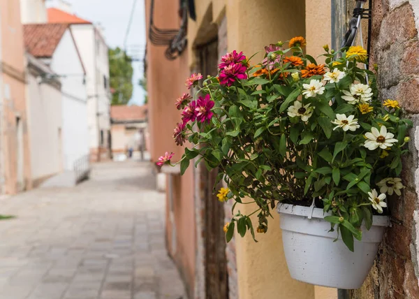 white pot with colorful flowers hanging outside a house in Italy