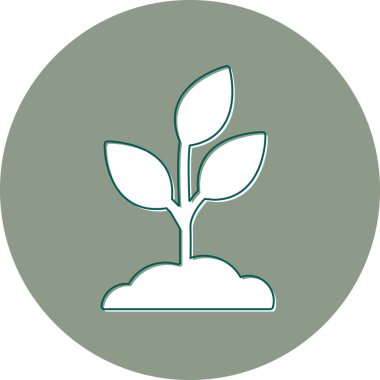 plant sprout. vector illustration