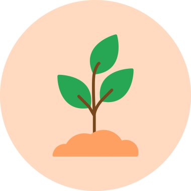 plant sprout. vector illustration