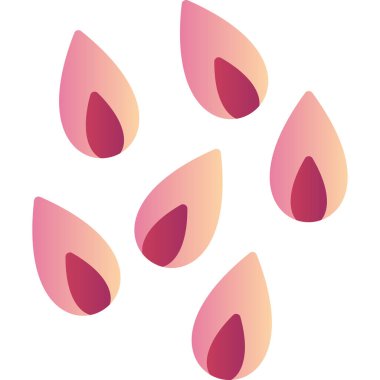 colorful pattern illustration of Flower Petals