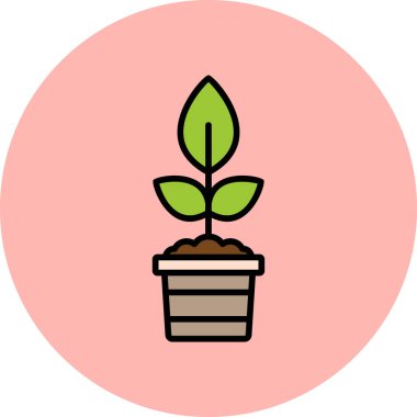 Bitki yetiştirilmiş esrar. Web simgesi basit illüstrasyon