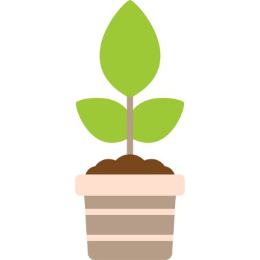 Bitki yetiştirilmiş esrar. Web simgesi basit illüstrasyon