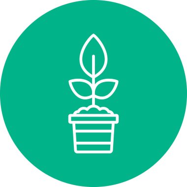 Bitki yetiştirilmiş esrar. Web simgesi basit illüstrasyon