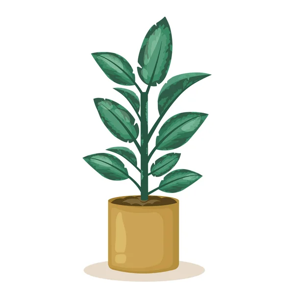 Krytá Rostlina Květináči Domácí Rostlina Izolovaná Bílém Pozadí Domácí Dekorace — Stockový vektor