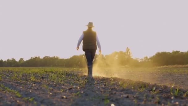 Back View Male Farmer Rubber Boots Walking Field Small Green — ストック動画