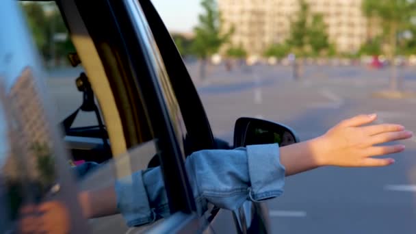 Free Kid Legt Ihre Hand Aus Dem Autofenster Auf Dem — Stockvideo