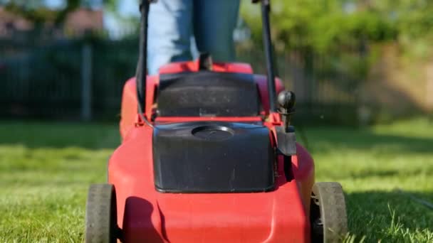 Close Shot Lawn Mower Cutting Green Grass Outdoor Garden Man — 图库视频影像