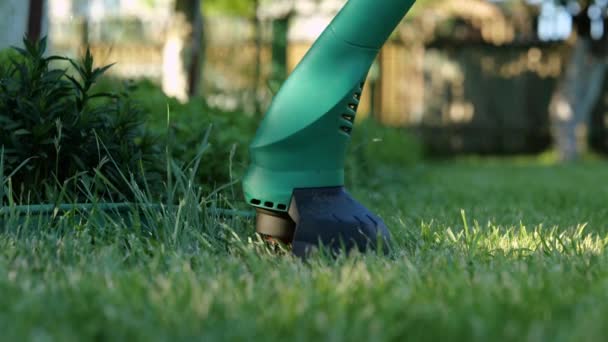 Close Gasoline Lawn Mower Cutting Green Grass Backyard Lawn Mower — ストック動画