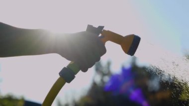 Erkek hortumunu ve bahçedeki sulama bitkisini kapatın. Yeşil çam ağacına su püskürten bir adam. Bahçede çalışan bahçıvan. Su hortumdan akar ve parlak damlalar oluşturur. Ev manzarası