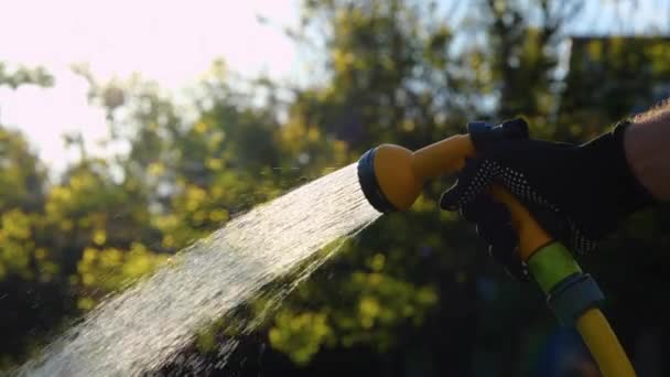 Close Male Hand Glove Holding Moving Hose While Watering Grass — 图库视频影像