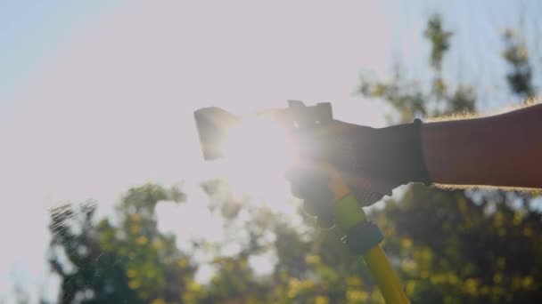 Uomo Mano Tiene Tubo Giardino Con Spruzzatore Spruzzatore Acqua Sul — Video Stock