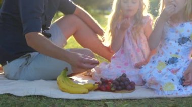 Camera moves away from Caucasian happy family with kids sitting on a blanket having picnic on summer day. Joyful parents and little children eating fruits in park. Summer weekend. Childhood concept
