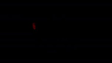 Kara Cuma İndirim Animasyonu. 6 Öge. Alfa Kanalı. 03