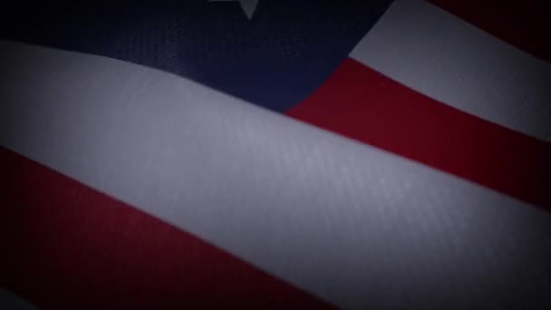 Usa Flag Flag Animation — Stock Video