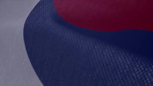 Flag Korea Animation — Stock Video