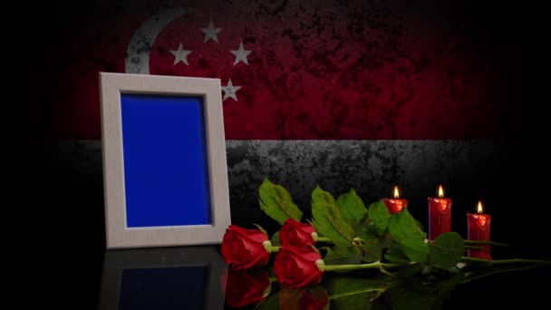 Memorial Day Card Flag Singapore Background Looped Photo Can Placed — Stock videók