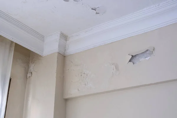 Damp house wall, damaged and humid wall, old and aged house, humidity and mould