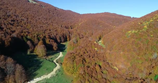Disparos Aéreos Otoño Sobre Bosque Hayas Monte Terminillo Centro Italia — Vídeos de Stock