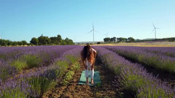 Morgonyogaövningar Ett Blommande Lavendelfält Kvinna Gör Solhälsningen Poserar Meditation Och — Stockvideo