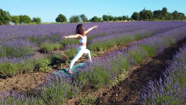 Krijger Yoga Poseren Een Bloeiende Lavendelveld Een Vrouw Met Lang — Stockvideo