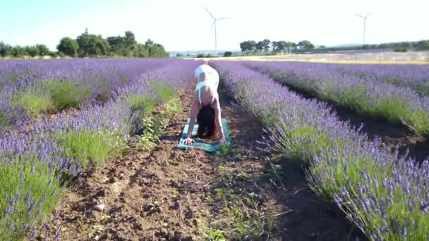 Morgonyogaövningar Ett Blommande Lavendelfält Kvinna Gör Solhälsningen Poserar Meditation Och — Stockvideo