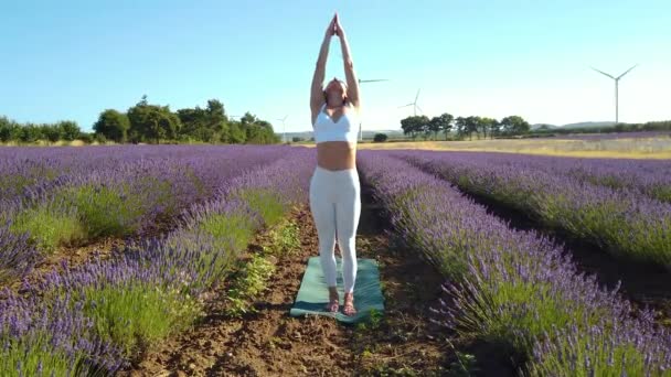 Ejercicios Yoga Matutino Campo Lavanda Floreciente Una Mujer Hace Pose — Vídeos de Stock
