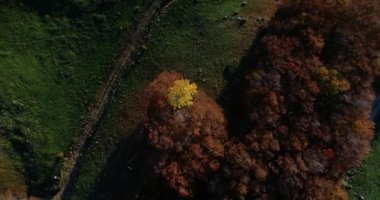 İtalya 'nın orta kesimindeki Monte Terminillo (Lazio bölgesi) kayın ormanının üzerine düşen hava görüntüleri. Kayalık dağın güzel manzarası ve ormanı sonbahar mevsiminin ılık tonlarıyla renklenmişti..