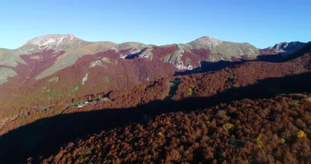 Őszi Légi Felvételek Felett Bükkfa Erdő Monte Terminillo Közép Olaszországban — Stock videók
