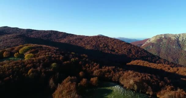 Tournées Aériennes Automne Dessus Forêt Hêtres Monte Terminillo Dans Centre — Video