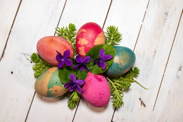 Easter Composition Natural Colored Eggs Delicate Violets Small Succulents White — Stock Photo, Image