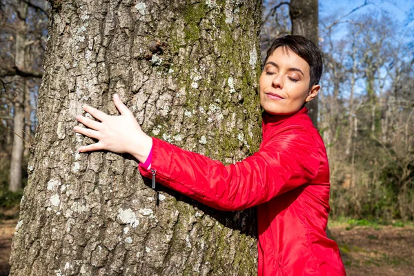 Young Woman Hugs Large Oak Tree Woman Closes Perceives Energy Stock Image