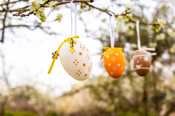 Frohe Ostern Ostereier Verziert Gartenbaum Mit Bunten Ostereiern Aufgestellt — Stockfoto