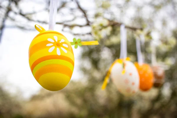 Frohe Ostern Ostereier Verziert Gartenbaum Mit Bunten Ostereiern Aufgestellt — Stockfoto