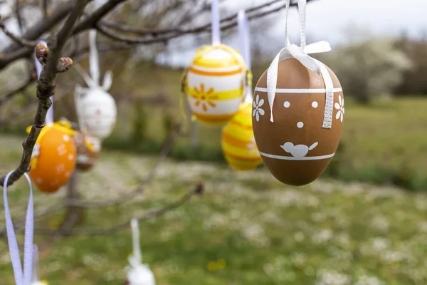 Frohe Ostern Ostereier Verziert Gartenbaum Mit Bunten Ostereiern Aufgestellt — Stockfoto