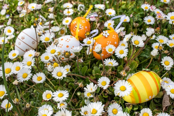 Frohe Ostern Ostereier Verziert Bunte Ostereier Zwischen Gänseblümchen Garten — Stockfoto