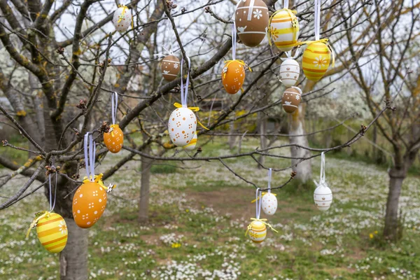 Feliz Pascua Huevos Decorados Con Pascua Árbol Jardín Con Huevos Imágenes de stock libres de derechos