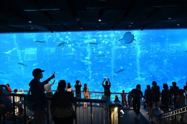 Deniz hayatı parkı, SEA Akvaryumu Sentosa Adası, Singapur.