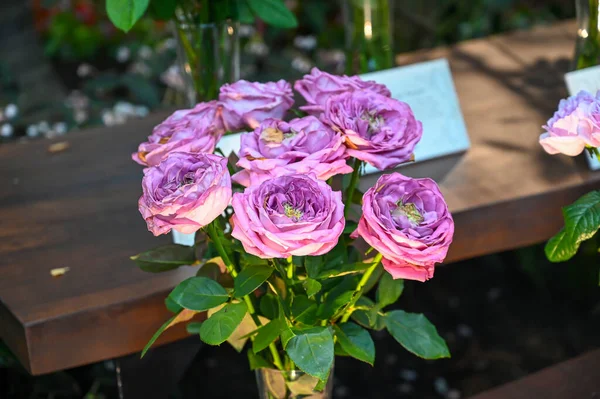 Belles Fleurs Roses Roses Fleurissant Dans Jardin — Photo