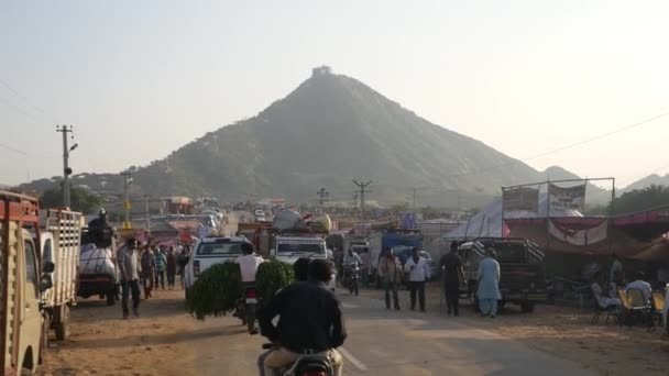 Pushkar Rajasthan India November 2019 Indian Desert City Pushkar Rural — Stock Video