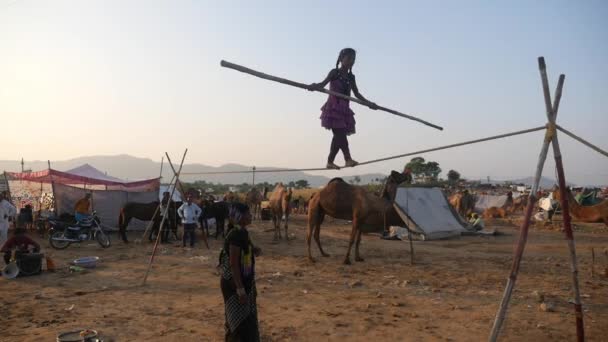 Pushkar Rajasthan India November 2019 Reverse Tightrope Walking Village Girl — Stock Video