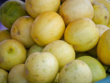 Taze olgun limonlar toplandı, piyasada satılmaya hazır.