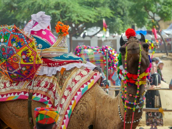 Pushkar Rajasthan India Novembre 2019 Competizione Ballo Dei Cammelli Nel — Foto Stock