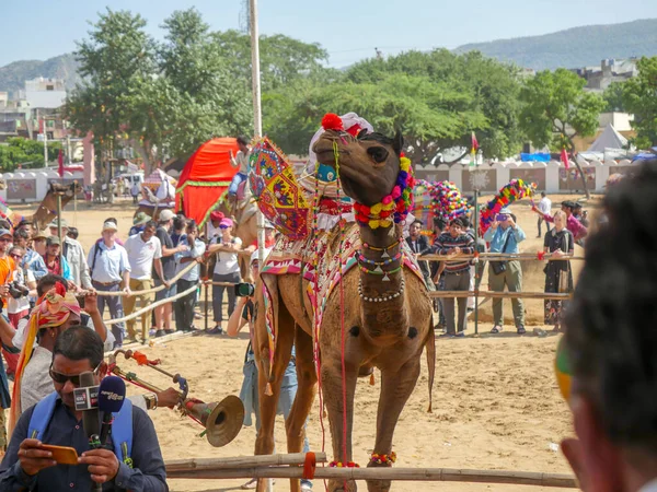 Pushkar Rajasthan India Novembre 2019 Competizione Ballo Dei Cammelli Nel — Foto Stock