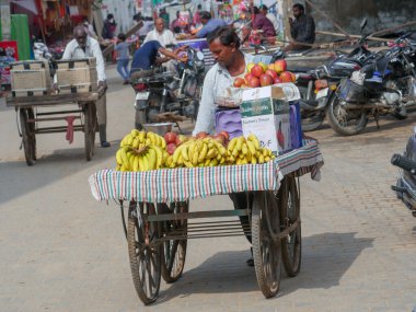 Pushkar, Rajasthan / Hindistan - 5 Kasım 2019: Hindistan 'ın kırsal kesimlerinde meyve satan Apple satıcısı.