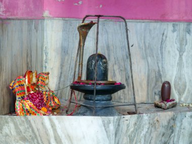 Puşkar, Rajasthan / Hindistan - 5 Kasım 2019: Hindu tanrısı Shiva putu tapınakta ibadet için sallanıyor.