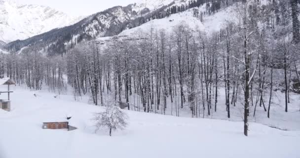 Snow Covered Beautiful Valley Mountain View Amazing Snowfall View Mountains — Wideo stockowe