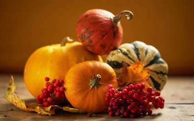 Ahşap bir masanın üzerinde sıcak örülmüş eşarpla süslü balkabaklarının sonbahar kompozisyonu. Sıcak sonbahar, Şükran Günü ve Cadılar Bayramı konsepti