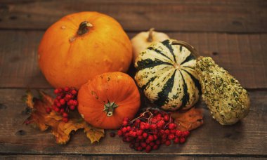 Ahşap bir masanın üzerinde sıcak örülmüş eşarpla süslü balkabaklarının sonbahar kompozisyonu. Sıcak sonbahar, Şükran Günü ve Cadılar Bayramı konsepti
